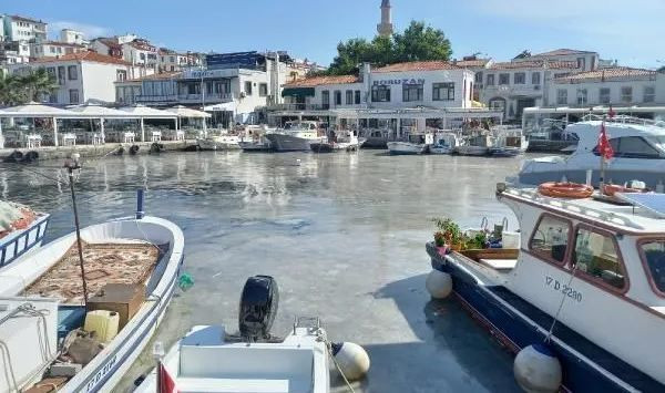 Bozcaada'da müsilaj görüldü! Adalılar bu görüntüye kahroldu! - Resim: 2