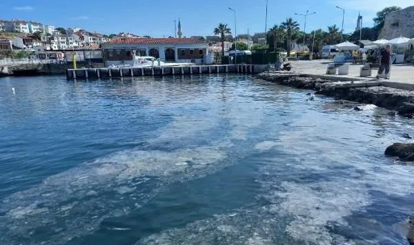 Bozcaada'da müsilaj görüldü! Adalılar bu görüntüye kahroldu! - Resim: 4
