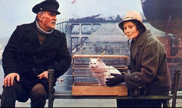 Yıldız Kenter yoğun bakıma kaldırıldı hastalığı neydi durumu kritik - Resim: 4