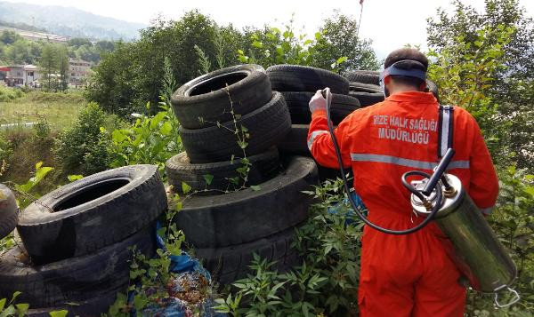 Kırmızı alarm! 2 tanesi Türkiye'de tespit edildi - Resim: 3