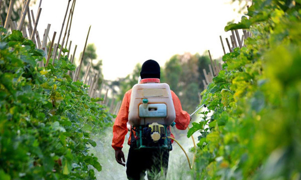 Kansere yol açıyordu! ABD'de artık yasaklandı - Resim: 3
