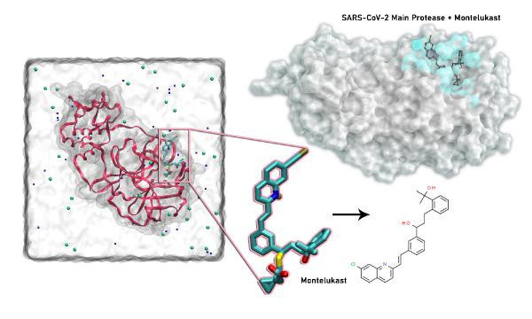 Türk bilim insanlarından covid-19 tedavisinde umut olacak ilaç: 20 saate kadar öteliyor - Resim: 2