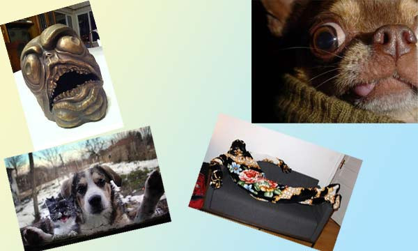 Günün en ilginç fotoğraf kareleri - Resim: 1