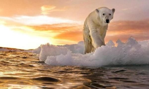 Tıp dünyasını korkutan virüs! 200 gün içinde 33 milyon insanı öldürebilir - Resim: 2