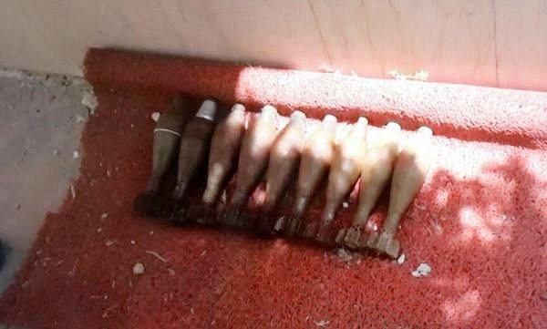 Şırnak belediye binasında ele geçirildiler - Resim: 3