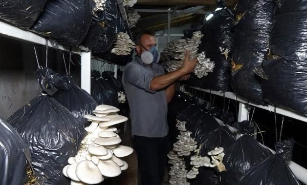 Edirne'de iktisat mezunu iş ararken bu işe başladı güzel para var - Resim: 3