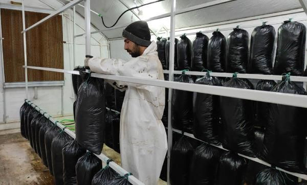 Şoförlüğü bırakıp bu işe başladı! Tadını bile bilmiyor 600 bin lira kazandı - Resim: 2