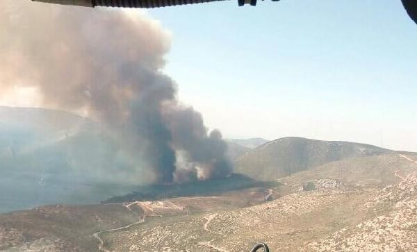 Piknikçiler ormanı cayır cayır yaktı hala söndürülemedi - Resim: 3