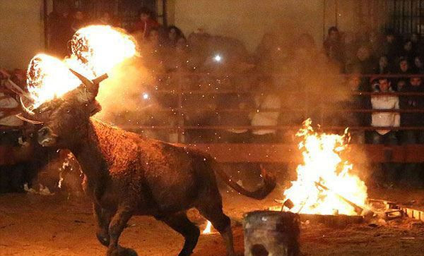 Canlı canlı yakıp böyle eğlendiler! - Resim: 4