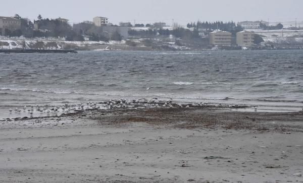 Tekirdağ'da deniz 30 metre çekildi halkı korkutan manzara - Resim: 2