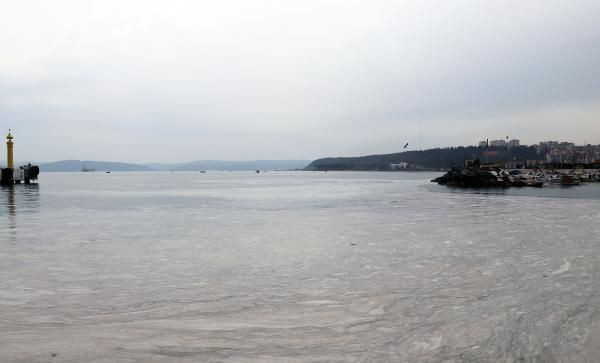 Çanakkale Boğazı'nda korkutan görüntü! Ağlara yapışıyor gözlerini tıkıyor - Resim: 2