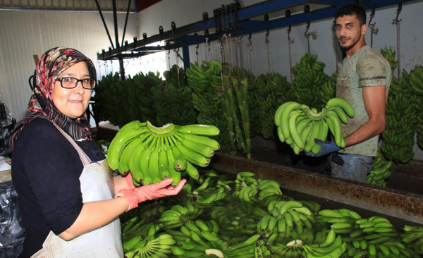 Üreticide 3 TL markete 16 TL! Hayret bir rakam, büyük uçurumlar var - Resim: 1