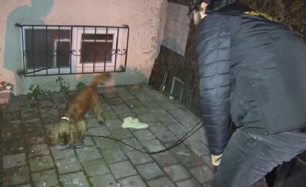 Narkotik operasyonu: 1'i meslekten ihraç eski polis, toplam 25 gözaltı  - Resim: 4