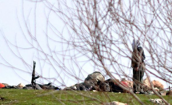 Cudi Dağı'ndan hiç böyle bir fotoğraf görmediniz - Resim: 2