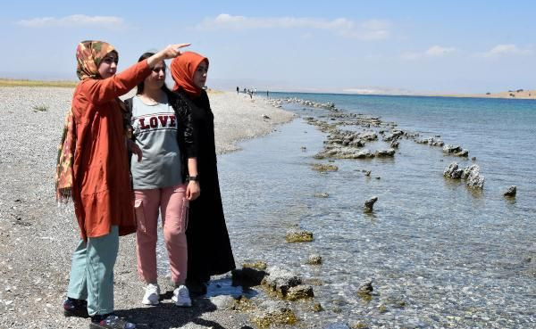 Van Gölü'nde canavar var deniyor! Sırtı zikzaklı tuhaf varlık - Resim: 1