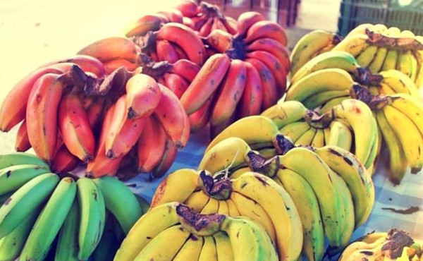 Kırmızı muz çok şaşıracaksınız! Öyle bir etkisi var ki - Resim: 3