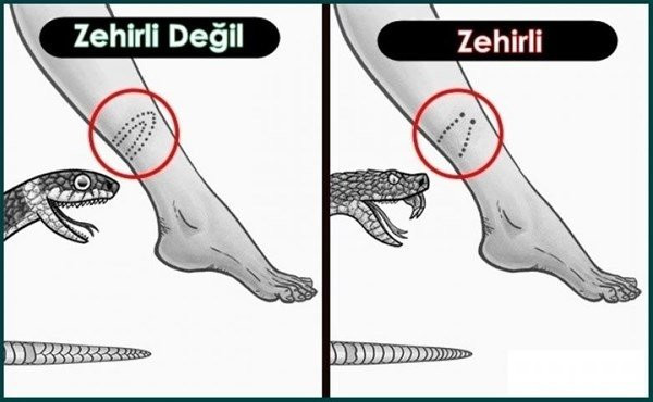 Bu pratik bilgiler hayat kurtarır - Resim: 1