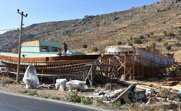 Dünya sıraya giriyor! Muğla'da tarlada gören şaşkına döndü - Resim: 2