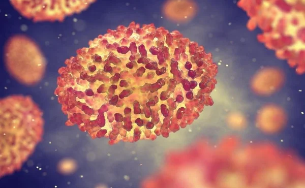 Maymun çiçeği virüsü sadece cinsel yolla mı bulaşıyor? Uzmanlar detaylarıyla açıkladı - Resim: 2