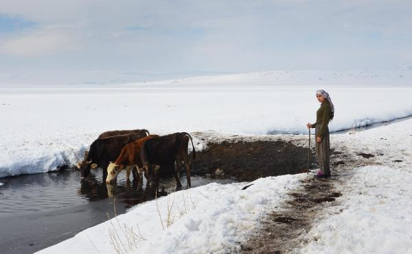 Çobanlık yaparak Avrupa'yı sallamaya hazırlanıyor! - Resim: 1