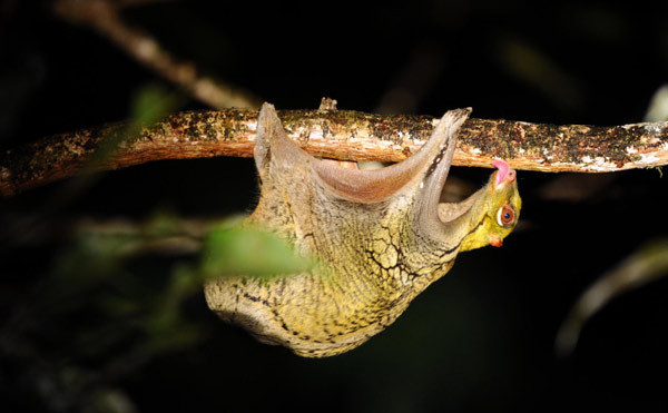 Bu güzelliği birdaha göremeyeceksiniz! - Resim: 4