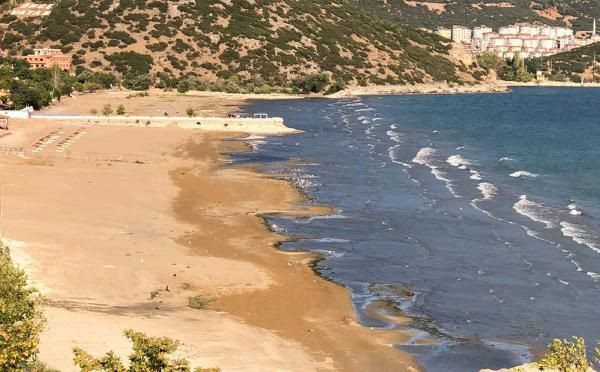 Isparta'da insanlık dışı manzara! Parmağınızı dahi sokmayın, çok üzücü - Resim: 4