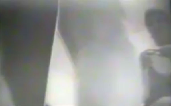 Seks görüntülerindeki Vatan Şaşmaz mı? Kadın holding patronu - Resim: 2