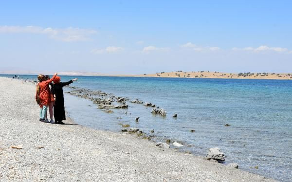 Van Gölü'nde canavar var deniyor! Sırtı zikzaklı tuhaf varlık - Resim: 2