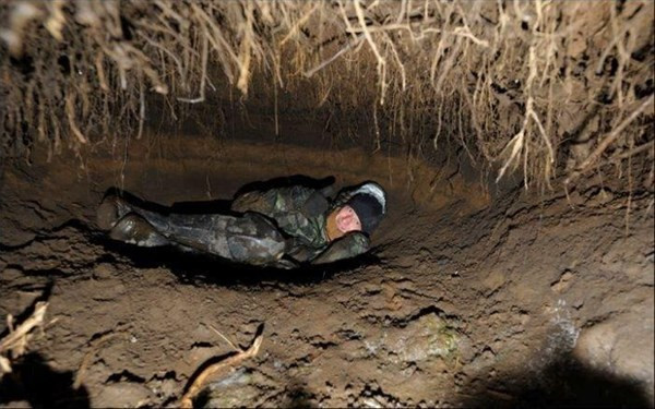 Başına ne geldiyse meraktan geldi deliğin içine girdi ve... - Resim: 2