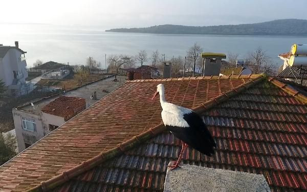 10 yıl sonra yine Bursa'ya geldi! Yaren Leylek ve Adem amca görenleri duygulandırdı - Resim: 3