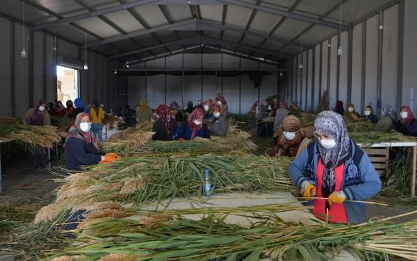 Aksaray'da deneme amaçlı başladı paraya para demiyor! ABD İngiltere Fransa sıraya girdi - Resim: 1