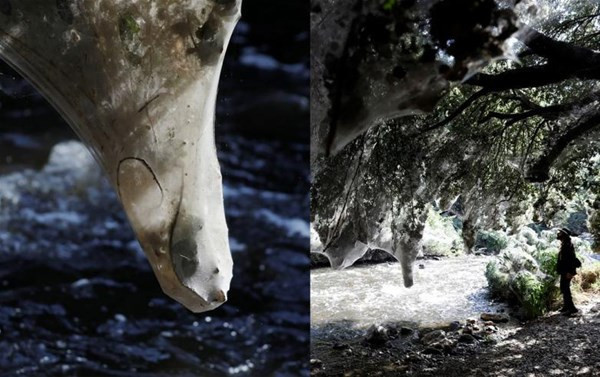 Böyle estetik operasyon görülmedi sonuç ise gerçekten inanılmaz - Resim: 4