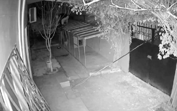 Soymak için günlerce plan yaptıkları kasa boş çıkınca... - Resim: 3