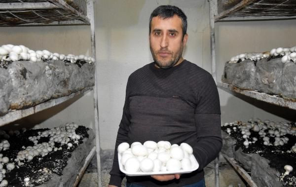 Bitlis'te kendi işini kurdu yılda 240 ton satıyor! Dört bir yandan sipariş yağıyor - Resim: 1