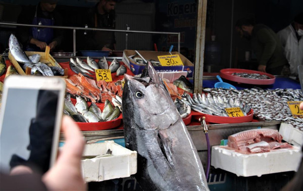 Elazığ'da gören telefona sarıldı: İlk defa karşılaştım, korkan oluyor - Resim: 1
