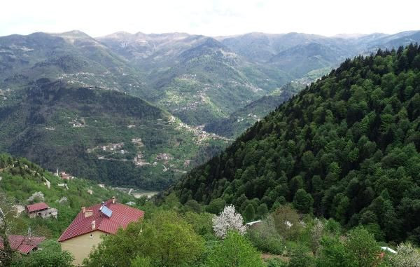 Trabzon'da görenler merak edip soruyor! Karadeniz inadı yüzünden çok masraf yaptılar - Resim: 2