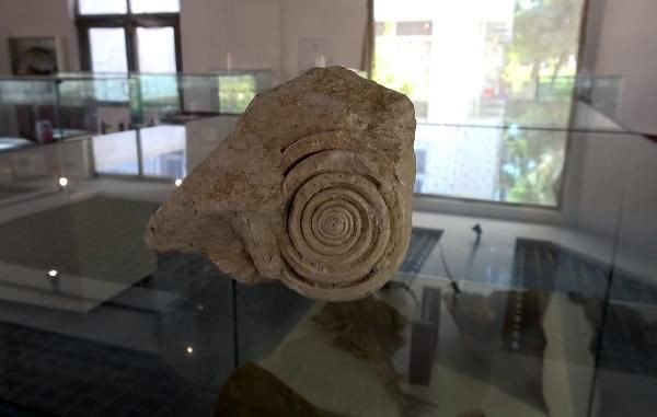 Mersin'de bulundu tam 60 milyon yaşında! Bisikletle gezerken tesadüfen buldu - Resim: 3