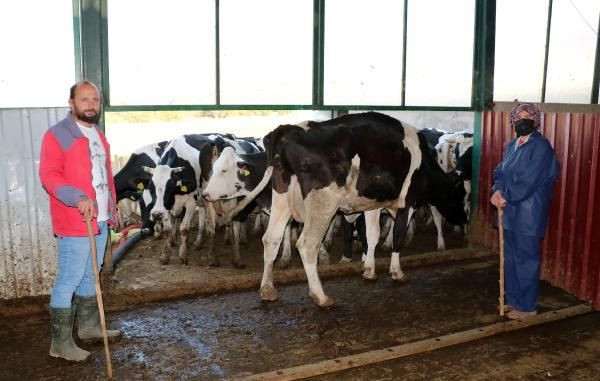 Afyonkarahisar'da kaptan hayalini gerçekleştirdi bu işe başladı! Tesis kurdu: Çok mutluyum - Resim: 2