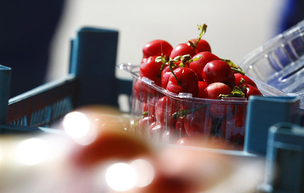 Erken yetişen kirazın fiyatı yok artık dedirtti - Resim: 4