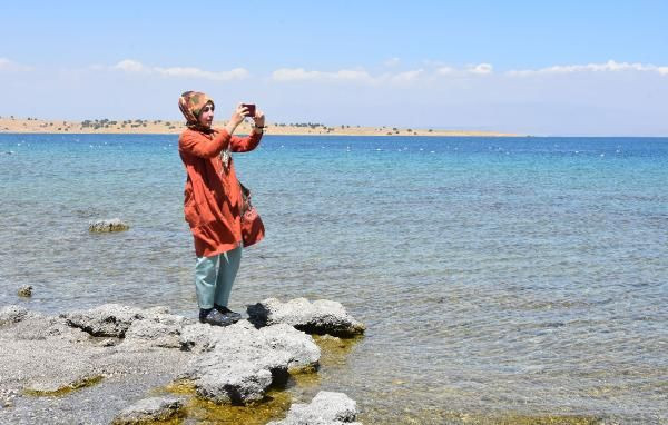 Van Gölü'nde canavar var deniyor! Sırtı zikzaklı tuhaf varlık - Resim: 4