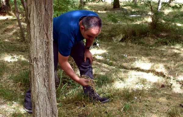 Korkutan gerçek... Türkiye yanacak! - Resim: 2