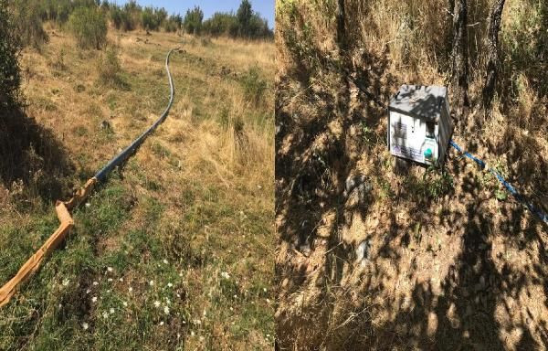 Diyarbakır'da 6 milyon kök Hint keneviri ele geçirildi - Resim: 3