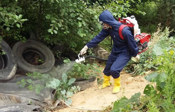 Kırmızı alarm! 2 tanesi Türkiye'de tespit edildi - Resim: 4