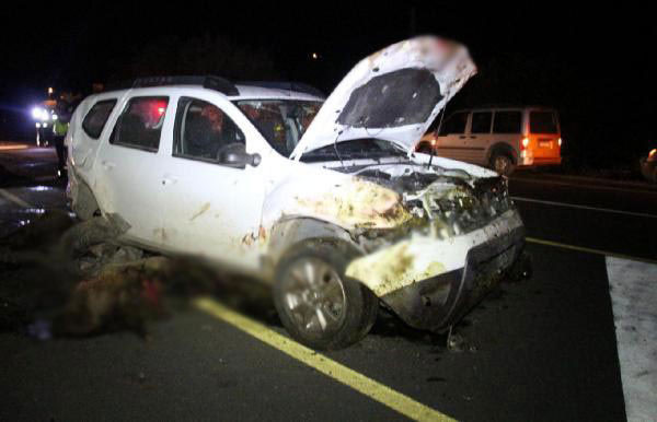 Erzurum'da iki otomobil koyun sürüne daldı: 40 koyun öldü - Resim: 0