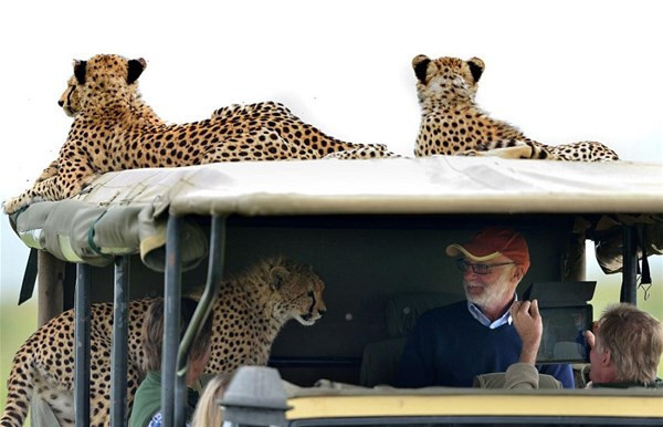 Bir anda arabanın üzerine atladı içeri girdi ve... - Resim: 3