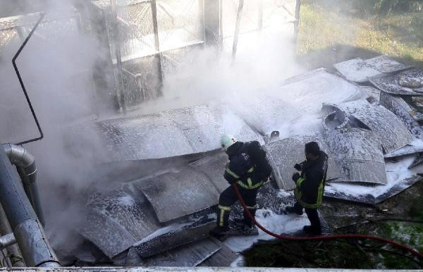 Bodrum'da korku dolu anlar: Bir anda patladı! - Resim: 4