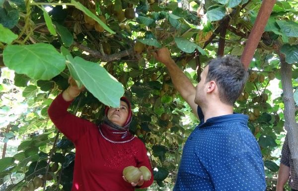 1 dönümle başladı şimdi paraya para demiyor - Resim: 2