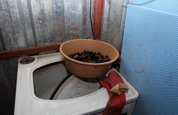 Mide bulandıran görüntü! Yerken bir daha düşünün... - Resim: 2