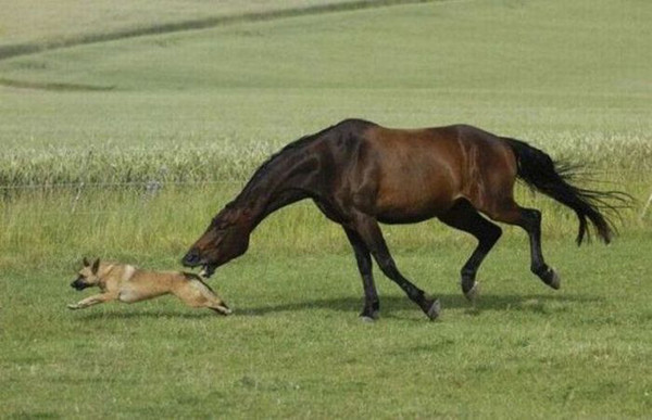 Bunlara gülmekten içiniz acıyacak - Resim: 2