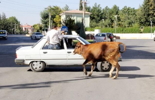 Yurttan kurban manzaraları - Resim: 3